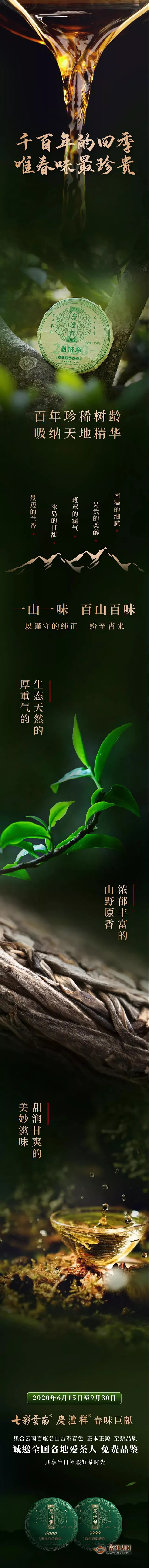七彩云南庆沣祥全民品鉴招募，千百年的四季唯春味最珍贵