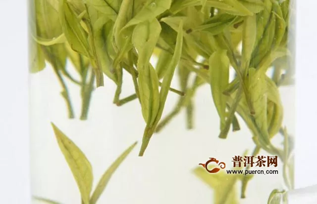 安吉白茶綠茶的價(jià)格