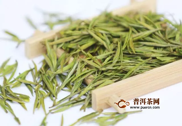 安吉白茶绿茶最贵多少钱一斤