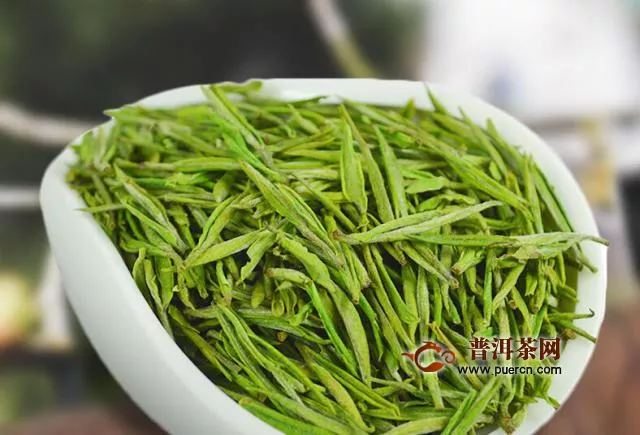 安吉白茶适合什么季节饮用