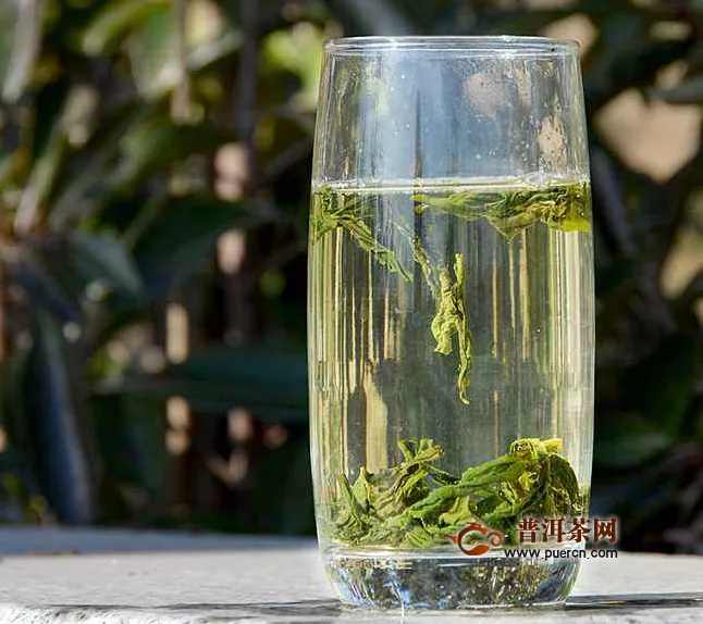 六安瓜片绿茶的冲泡技巧