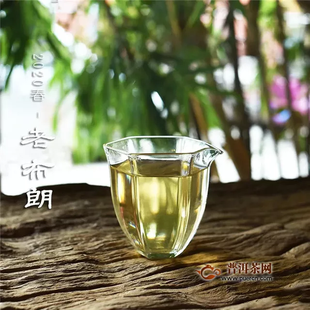 彩农茶：茶醉