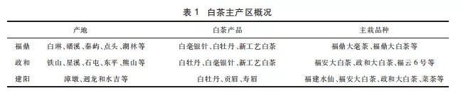 白茶品種滋味大解析！各地白茶口感特點