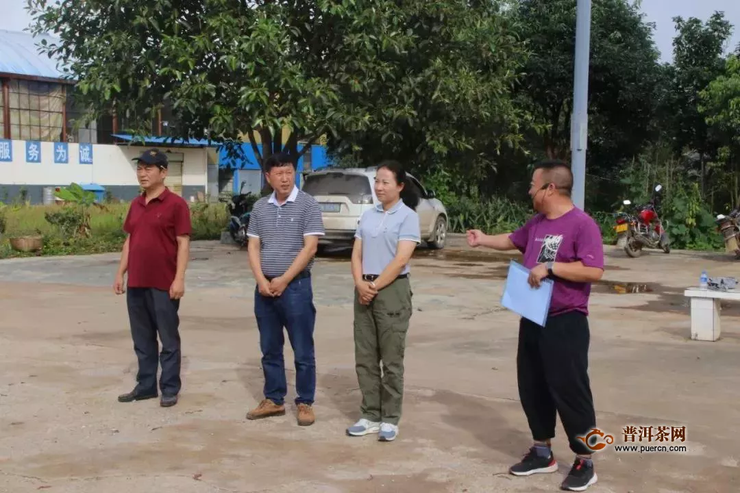 云南省农科院专家到景谷县半坡乡开展有机茶园管理培训