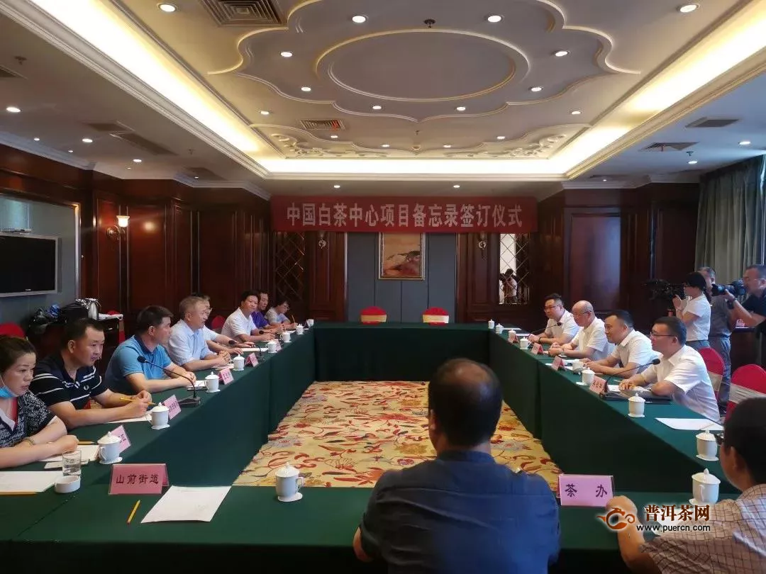 福鼎举行中国白茶中心项目备忘录签订仪式