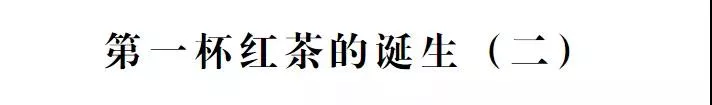 鳳寧60s：第一杯紅茶的誕生