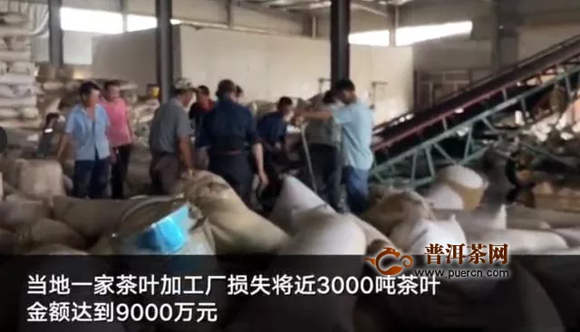 安徽歙县茶企3000吨茶叶被泡 负责人失声痛哭