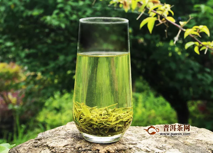 绿茶的主要种类及作用