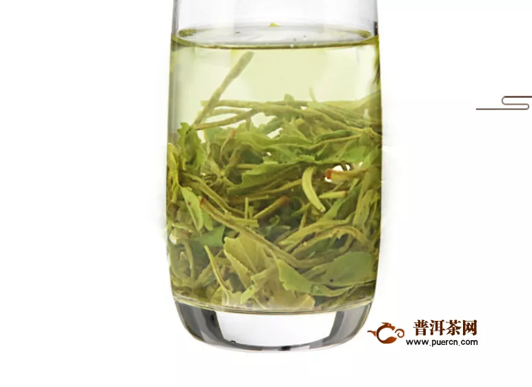 绿茶选择什么品种好喝