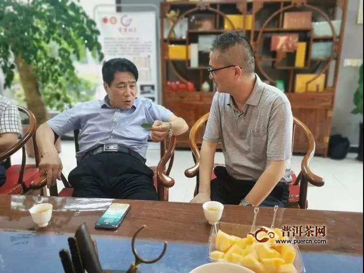 湖南省茶产业高质量发展调研组调研指导宝庆桂丁茶产业