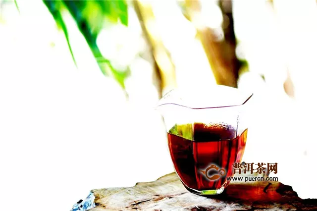 彩农茶：新发酵熟茶，放几年再喝