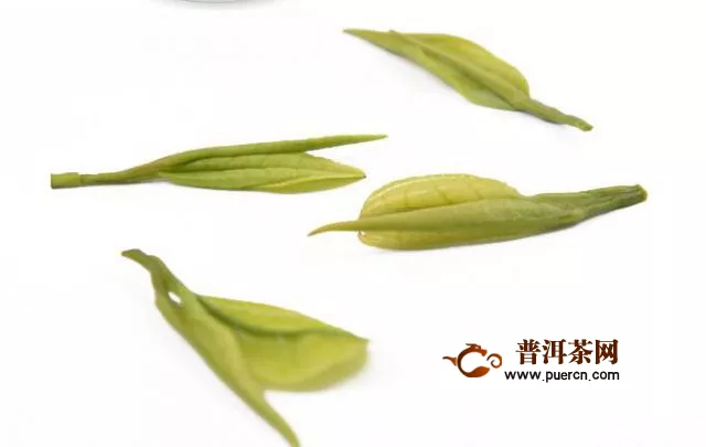 安吉白茶绿茶品质特征介绍