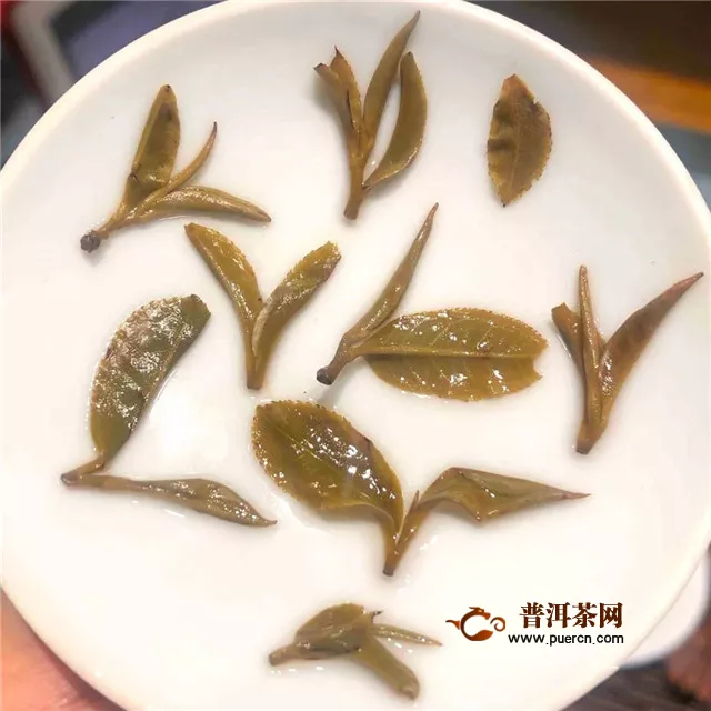 彩农茶：猫耳朵、豆芽茶