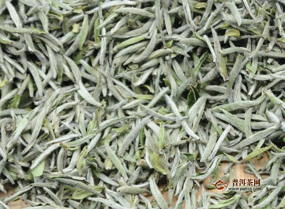 白茶的价格是多少钱一斤
