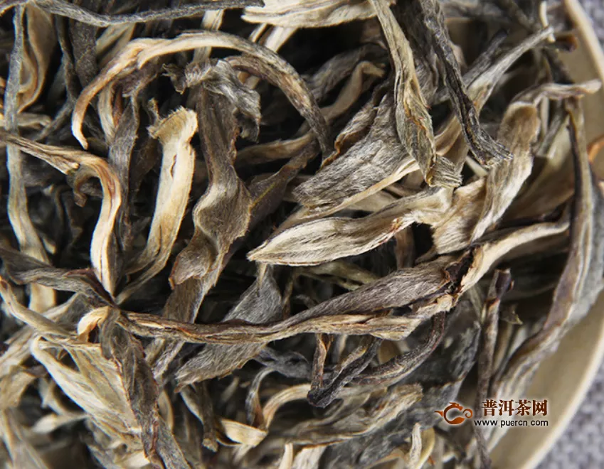 老白茶是什么茶叶种类