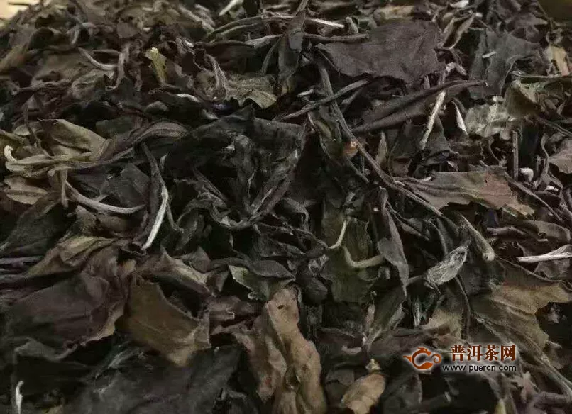老白茶属于什么茶叶种类