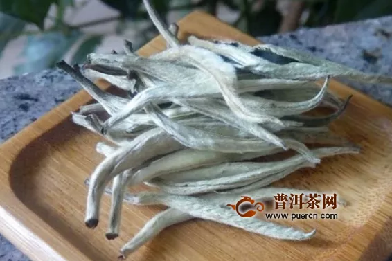 紫砂壺泡白茶好不好