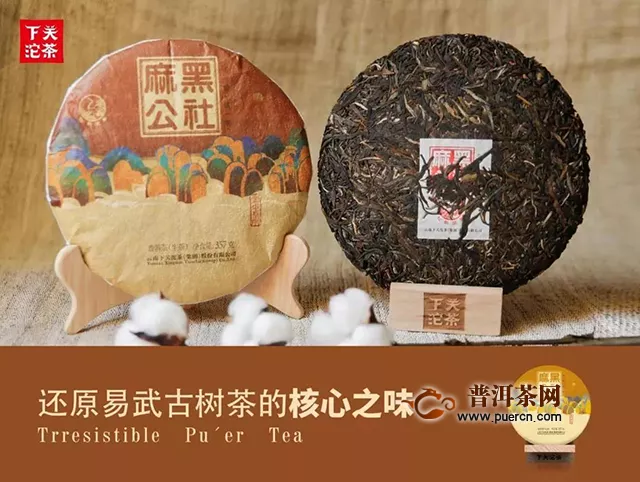 下关新品保龙公社：公社，深度地展现着一个小产区的茶的性格