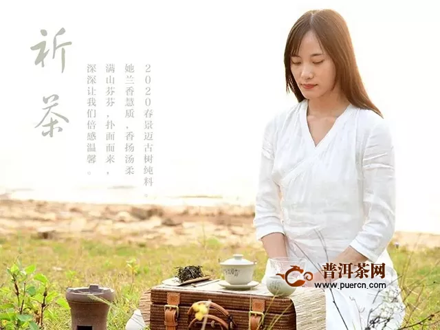 彩農(nóng)茶教你如何辨識(shí)臺(tái)地茶和古樹茶？