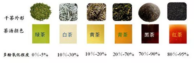 彩农茶详解茶叶的内含物质