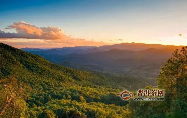 柏联普洱：云南普洱这座千年古茶山，或将成为全球第一个茶文化世界遗产