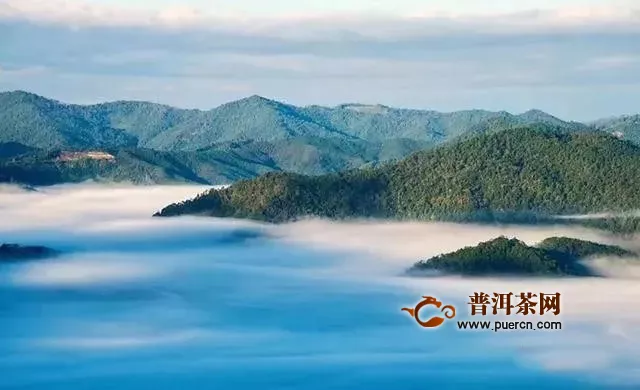 柏联普洱：云南普洱这座千年古茶山，或将成为全球第一个茶文化世界遗产