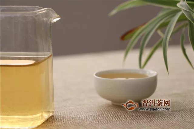 曬青綠茶有哪些代表茶