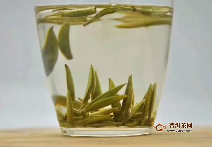 名茶福鼎白茶哪儿产的	