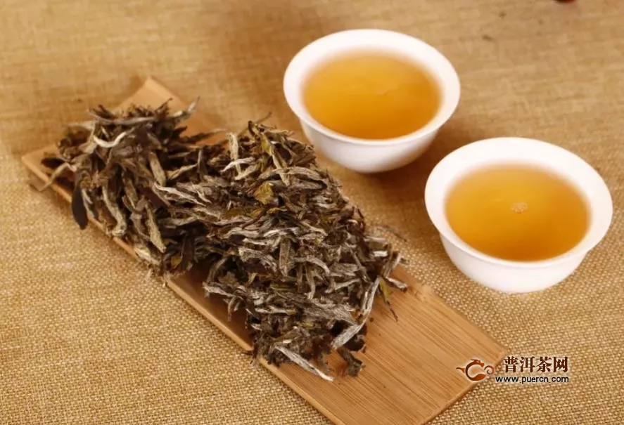 福鼎白茶是发酵茶吗