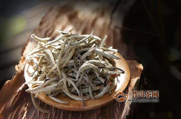 福鼎白茶春茶秋茶