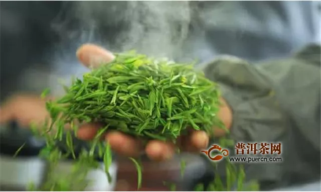 越鄉(xiāng)龍井的采制工藝與烏牛早的茶樹培養(yǎng)