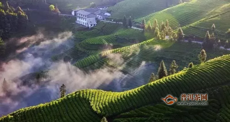 《湖北省促进茶产业发展条例（送审稿）》立法调研座谈会在武汉召开