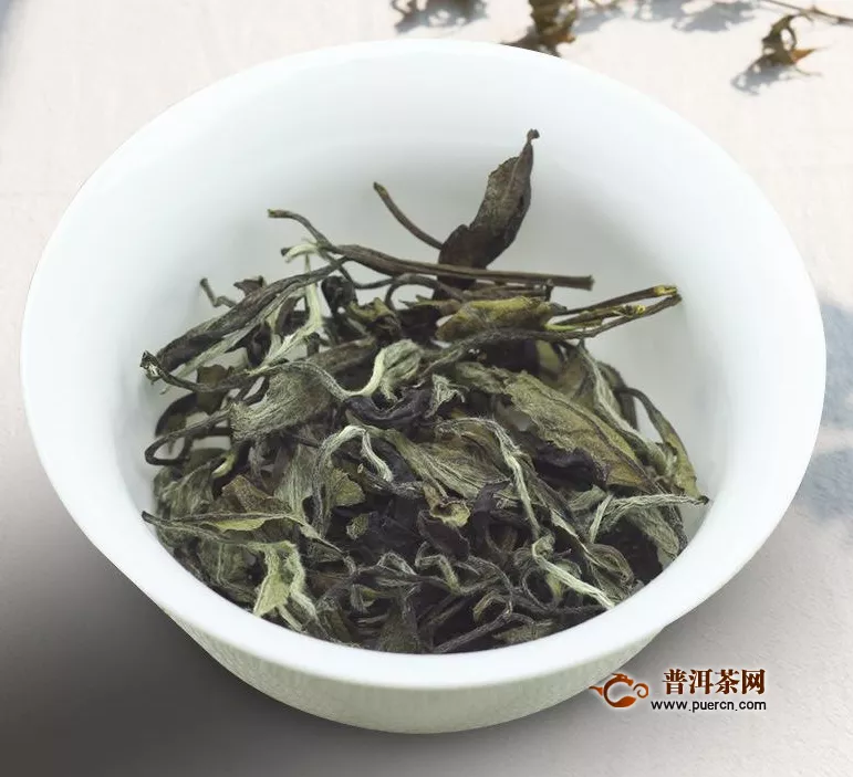 老寿眉属于发酵茶吗