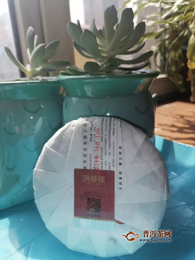 小茶餅，大乾坤：2019年洪普號探秘系列蜂蜜琥珀