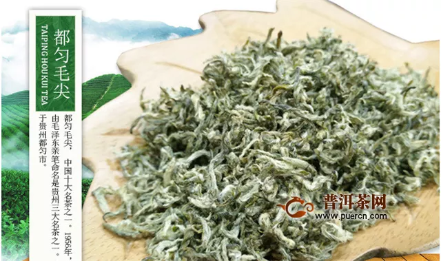 毛尖属于绿茶还是红茶