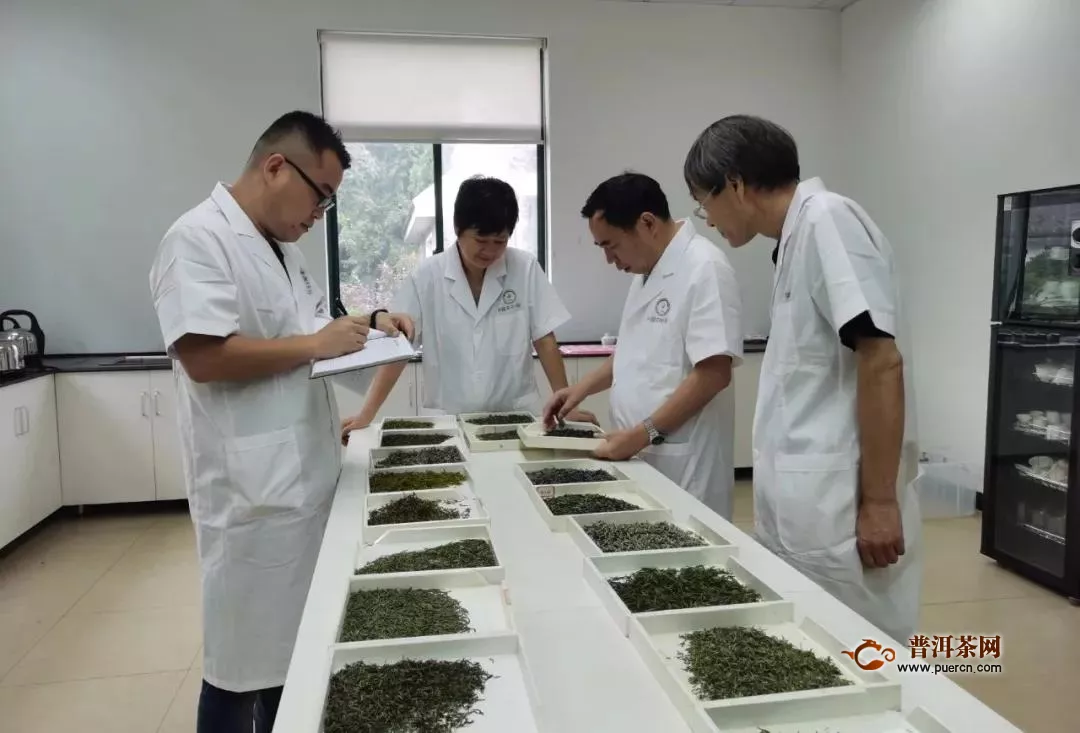 中国茶叶学会举办2020年全国茶叶品质评价会