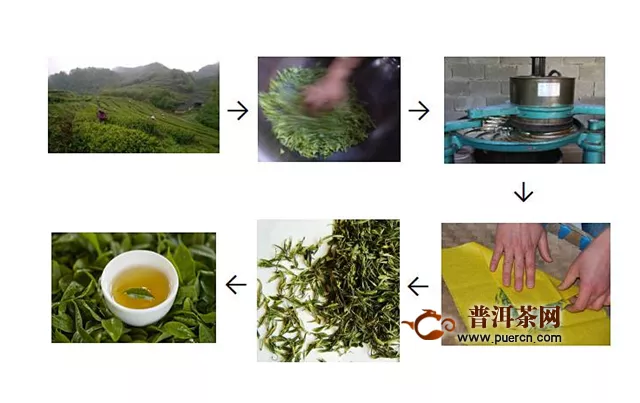 毛尖茶与铁观音的工艺流程的区别