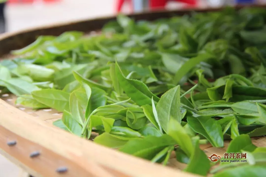 茶产业如何打造下一个万亿级目标？