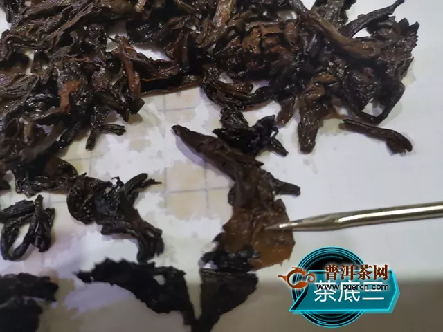 甘甜清爽，湯色如一：2019年洪普號雪藏熟茶