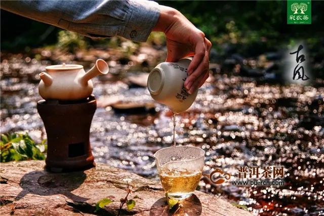 彩农茶：留根泡法