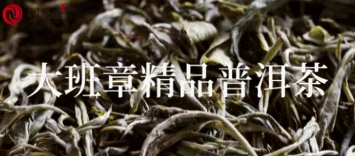 润元昌十年陈韵品鉴会：收藏的普洱茶存放10年会变成什么样？身入其境，方知其味