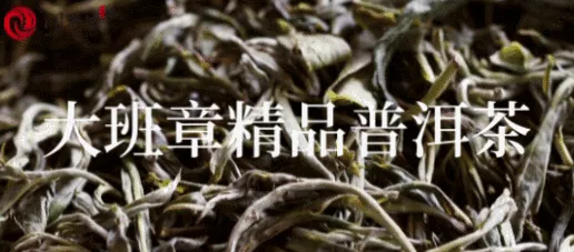 潤元昌十年陳韻品鑒會：收藏的普洱茶存放10年會變成什么樣？身入其境，方知其味