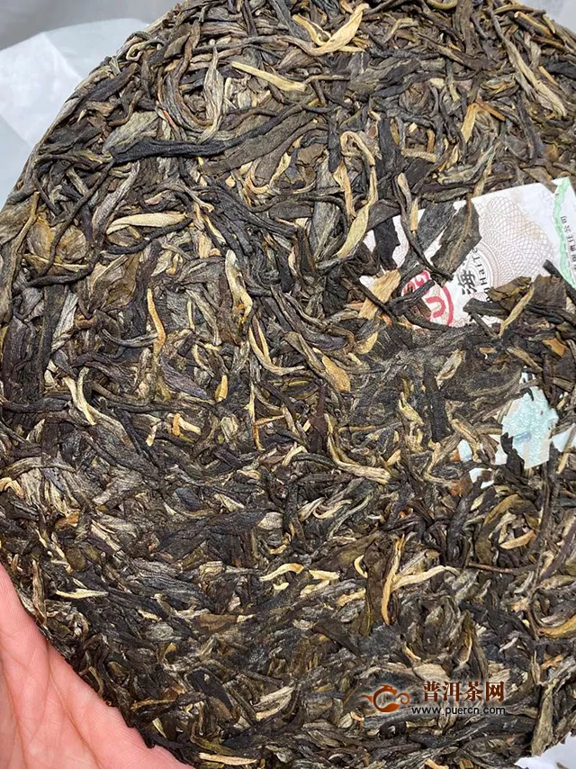 住在佳兆业，品味兴海茶：2020年兴海茶业人和五星生茶