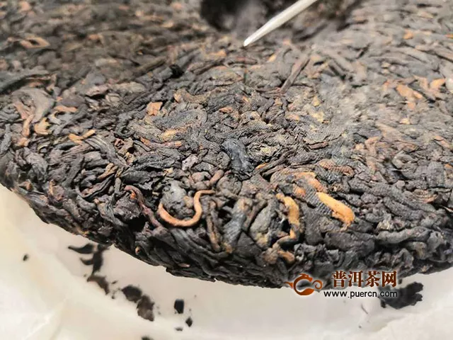 定是一款难忘的精品：2019年洪普号雪藏熟茶