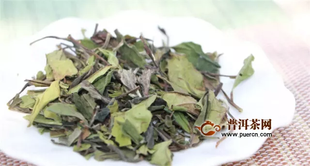 白茶新工艺与传统工艺的区别