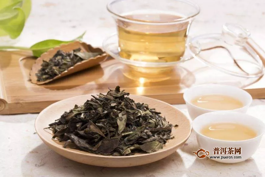 白茶属于生茶还是发酵茶