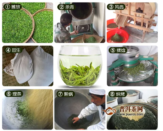 河南信阳毛尖属于绿茶