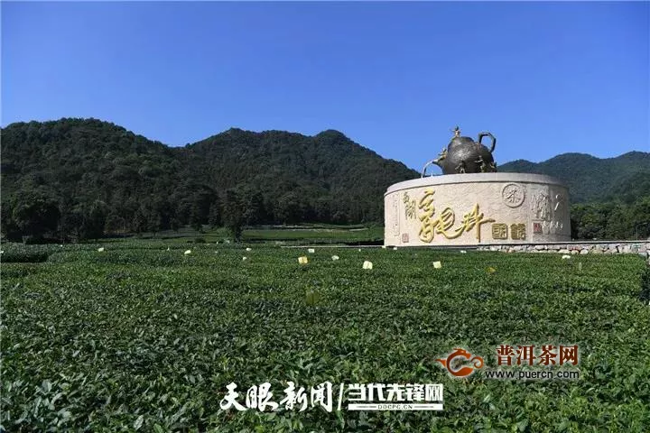 全球最大绿茶出口企业与中国茶叶种植面积最大省份合作啦！