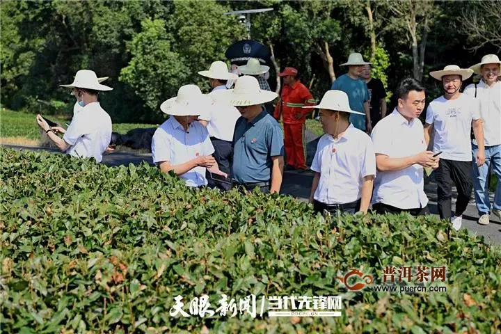 全球最大绿茶出口企业与中国茶叶种植面积最大省份合作啦！