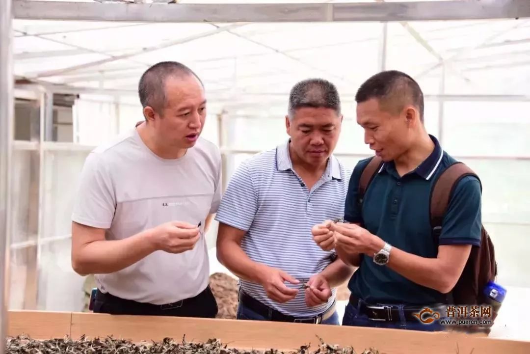 “景谷大白茶”农产品地理标志通过现场核查和审定